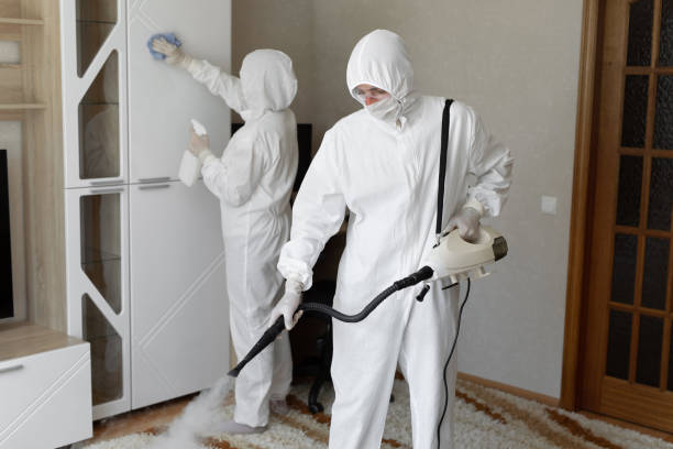 24/7 Emergency Odor Removal experts in Sheridan, AR