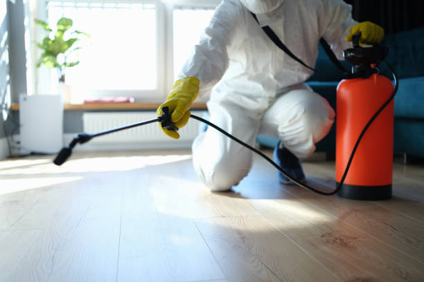 Reliable Odor Removal contractor in Sheridan, AR by Trauma Clean Pros